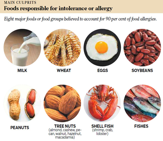 Orijen adult food allergies